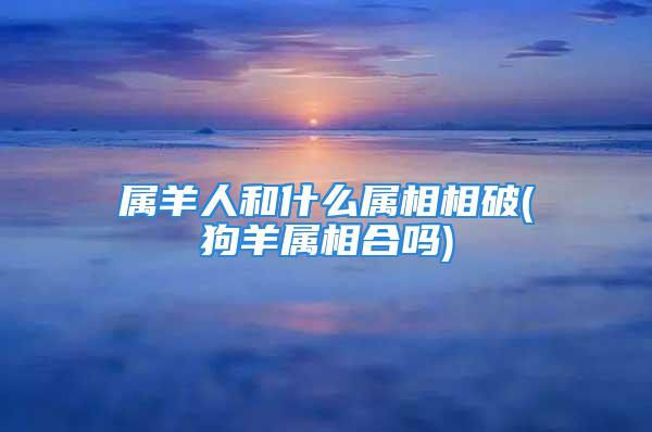 属羊人和什么属相相破(狗羊属相合吗)