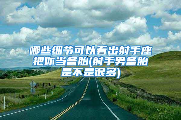 哪些细节可以看出射手座把你当备胎(射手男备胎是不是很多)