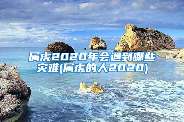 属虎2020年会遇到哪些灾难(属虎的人2020)