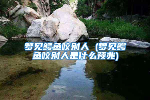梦见鳄鱼咬别人 (梦见鳄鱼咬别人是什么预兆)
