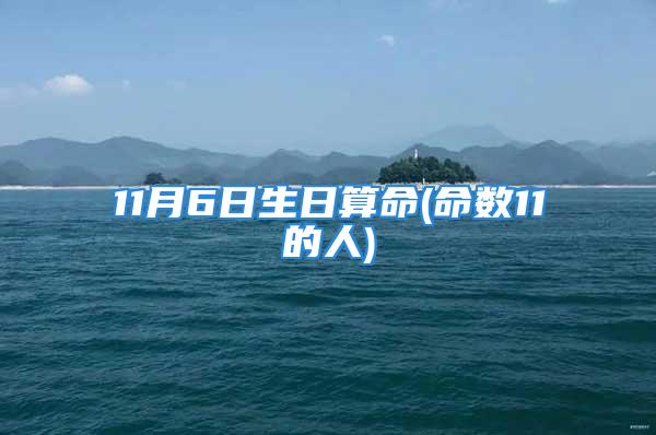11月6日生日算命(命数11的人)
