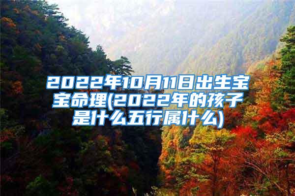 2022年10月11日出生宝宝命理(2022年的孩子是什么五行属什么)