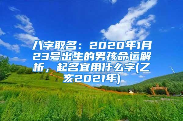 八字取名：2020年1月23号出生的男孩命运解析，起名宜用什么字(乙亥2021年)