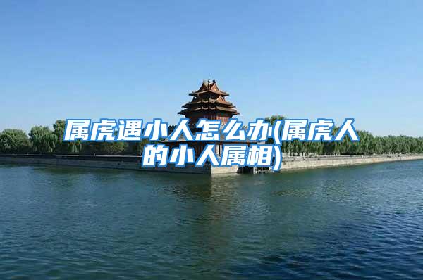 属虎遇小人怎么办(属虎人的小人属相)