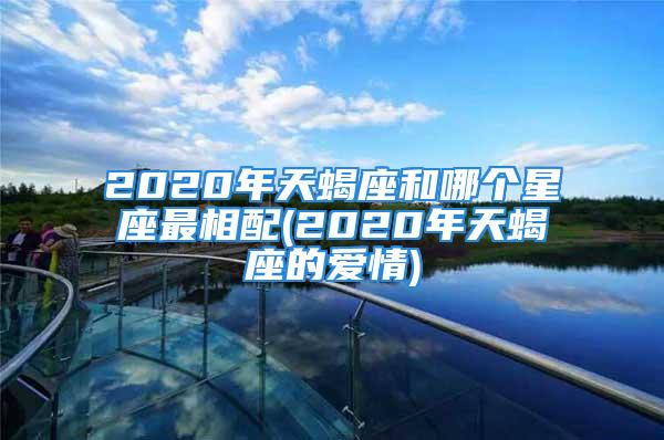 2020年天蝎座和哪个星座最相配(2020年天蝎座的爱情)