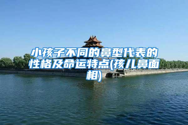 小孩子不同的鼻型代表的性格及命运特点(孩儿鼻面相)