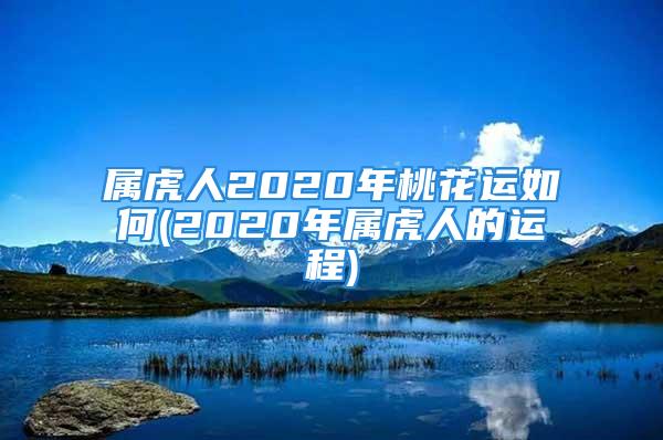 属虎人2020年桃花运如何(2020年属虎人的运程)