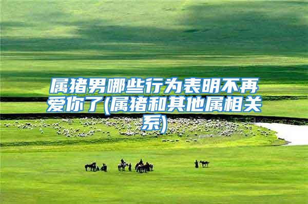 属猪男哪些行为表明不再爱你了(属猪和其他属相关系)