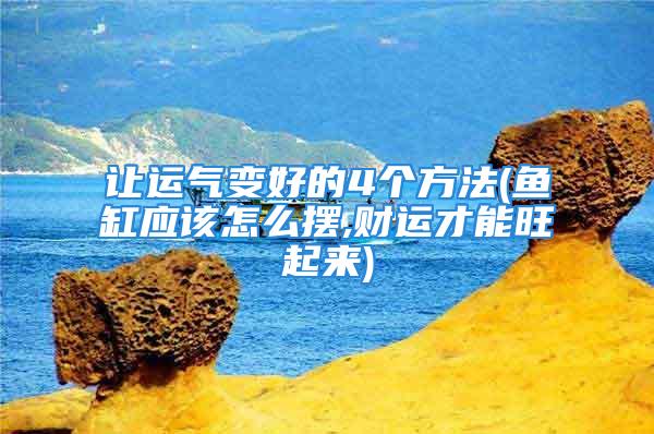 让运气变好的4个方法(鱼缸应该怎么摆,财运才能旺起来)