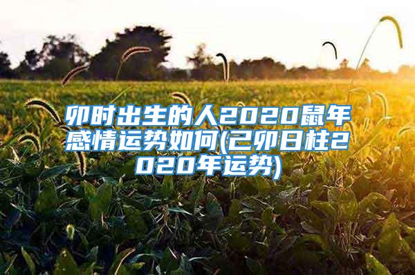 卯时出生的人2020鼠年感情运势如何(己卯日柱2020年运势)