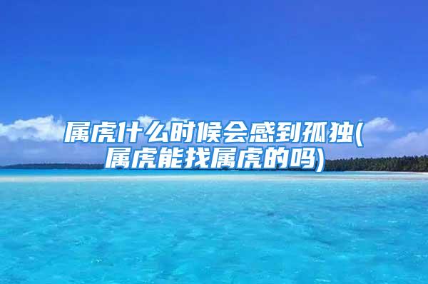 属虎什么时候会感到孤独(属虎能找属虎的吗)