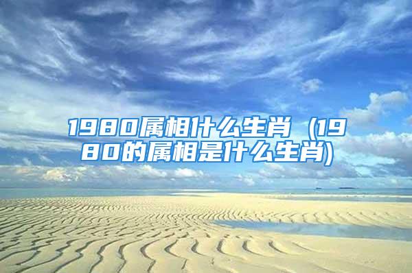 1980属相什么生肖 (1980的属相是什么生肖)