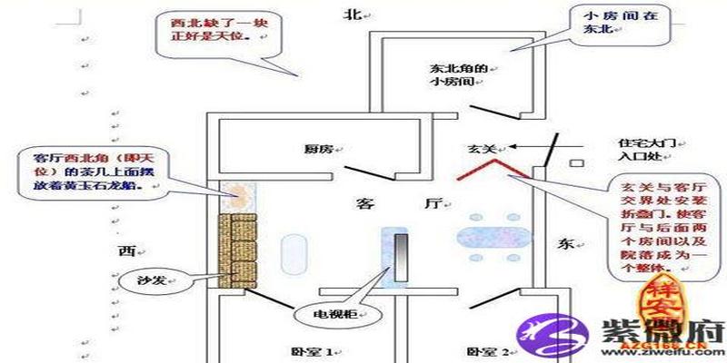 树的主干是哪个部位