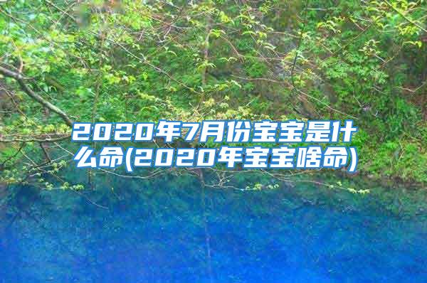 2020年7月份宝宝是什么命(2020年宝宝啥命)