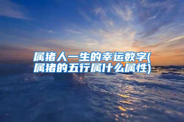 属猪人一生的幸运数字(属猪的五行属什么属性)