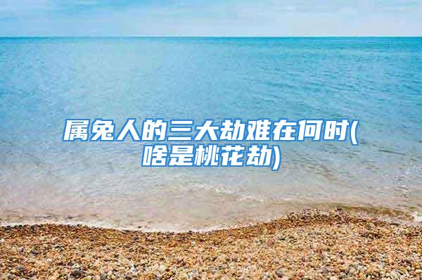 属兔人的三大劫难在何时(啥是桃花劫)