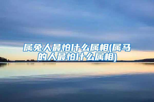 属兔人最怕什么属相(属马的人最怕什么属相)