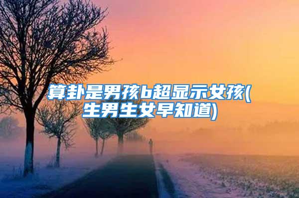 算卦是男孩b超显示女孩(生男生女早知道)