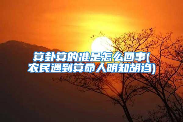 算卦算的准是怎么回事(农民遇到算命人明知胡诌)