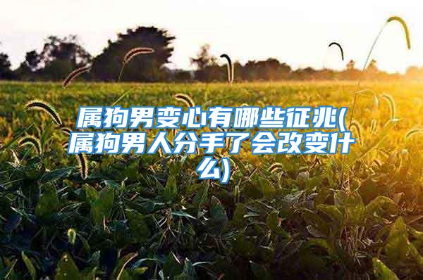 属狗男变心有哪些征兆(属狗男人分手了会改变什么)