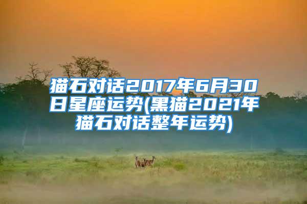 猫石对话2017年6月30日星座运势(黑猫2021年猫石对话整年运势)