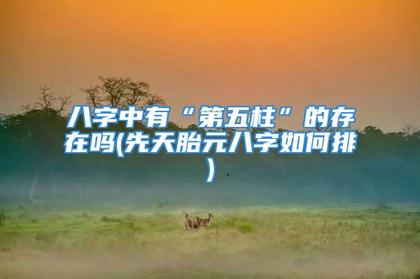 八字中有“第五柱”的存在吗(先天胎元八字如何排)