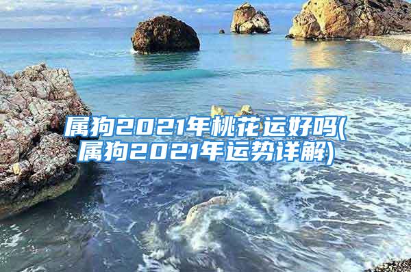 属狗2021年桃花运好吗(属狗2021年运势详解)