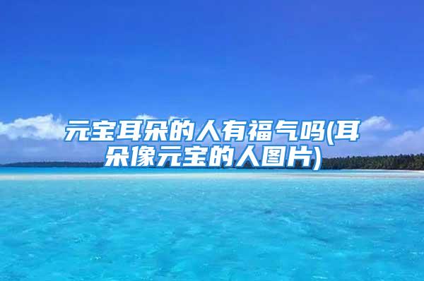 元宝耳朵的人有福气吗(耳朵像元宝的人图片)