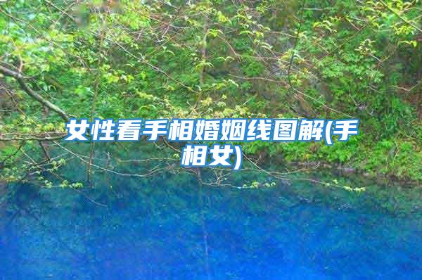 女性看手相婚姻线图解(手相女)