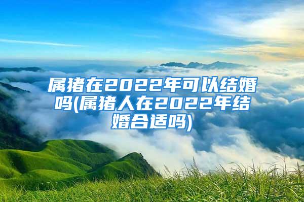 属猪在2022年可以结婚吗(属猪人在2022年结婚合适吗)