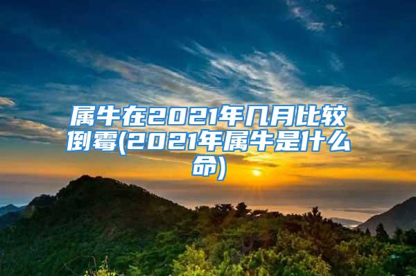 属牛在2021年几月比较倒霉(2021年属牛是什么命)