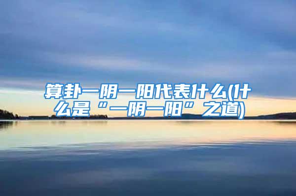 算卦一阴一阳代表什么(什么是“一阴一阳”之道)