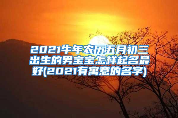 2021牛年农历五月初三出生的男宝宝怎样起名最好(2021有寓意的名字)