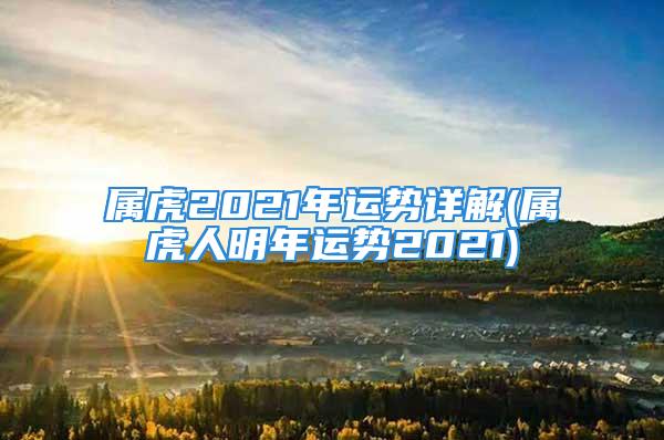 属虎2021年运势详解(属虎人明年运势2021)