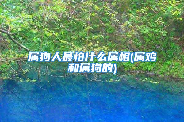 属狗人最怕什么属相(属鸡和属狗的)
