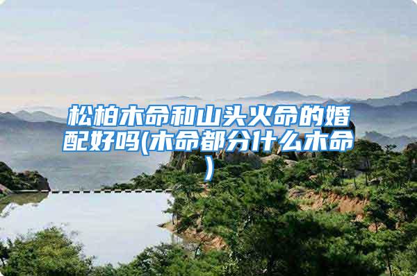 松柏木命和山头火命的婚配好吗(木命都分什么木命)