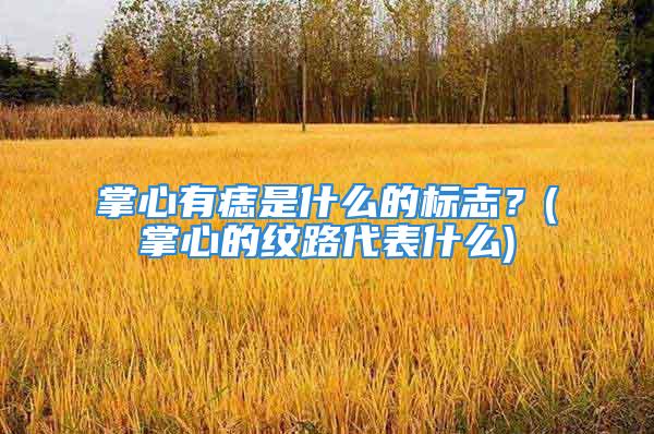 掌心有痣是什么的标志？(掌心的纹路代表什么)