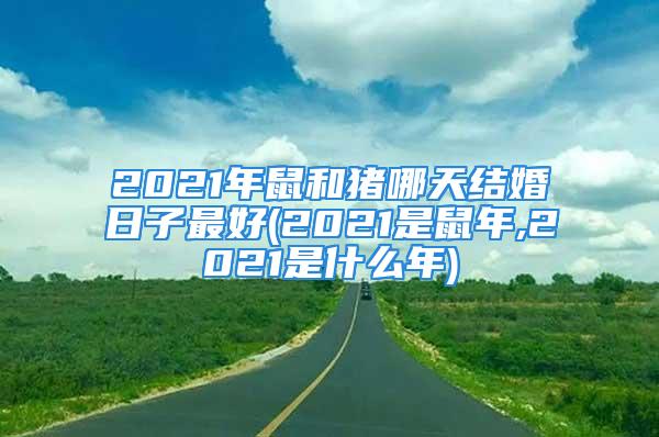 2021年鼠和猪哪天结婚日子最好(2021是鼠年,2021是什么年)