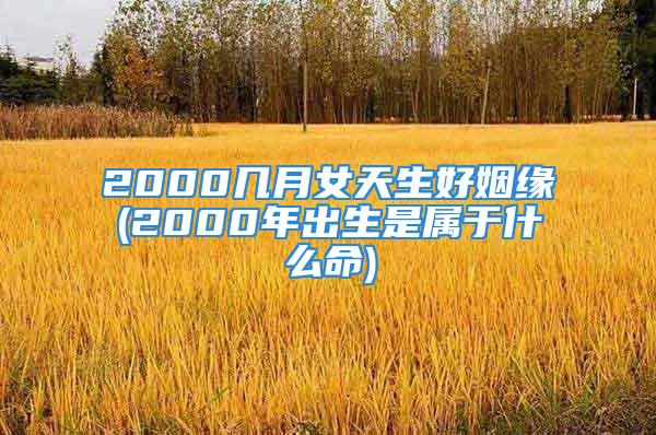 2000几月女天生好姻缘(2000年出生是属于什么命)