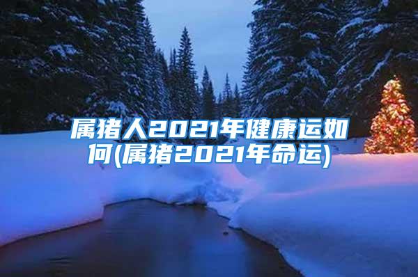 属猪人2021年健康运如何(属猪2021年命运)