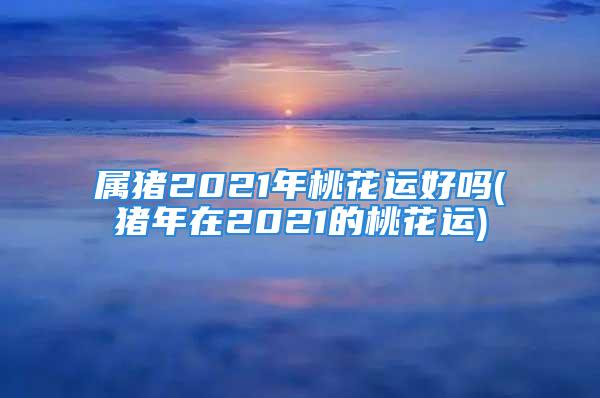 属猪2021年桃花运好吗(猪年在2021的桃花运)