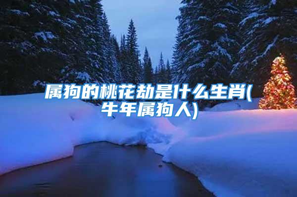 属狗的桃花劫是什么生肖(牛年属狗人)