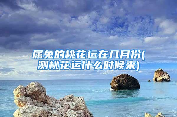 属兔的桃花运在几月份(测桃花运什么时候来)