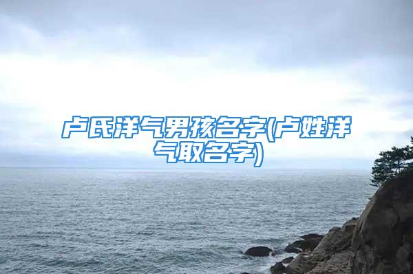 卢氏洋气男孩名字(卢姓洋气取名字)