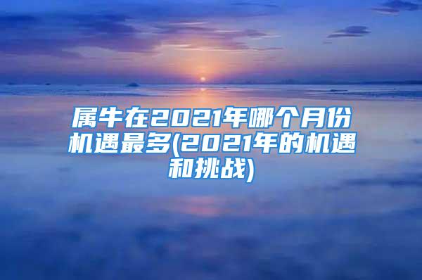 属牛在2021年哪个月份机遇最多(2021年的机遇和挑战)