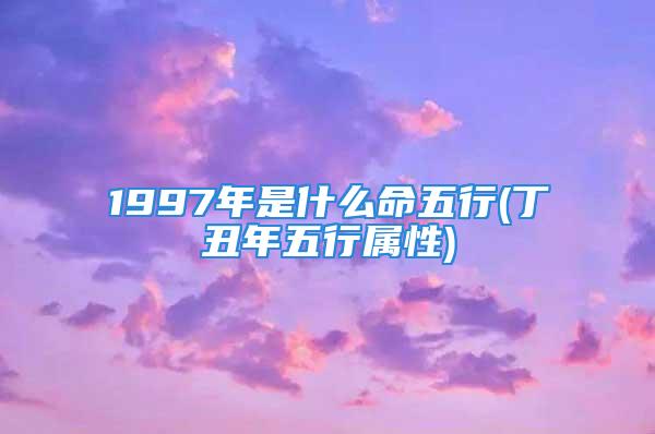 1997年是什么命五行(丁丑年五行属性)