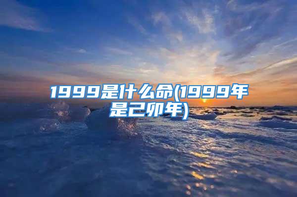 1999是什么命(1999年是己卯年)