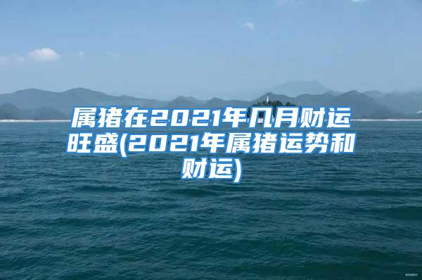 属猪在2021年几月财运旺盛(2021年属猪运势和财运)