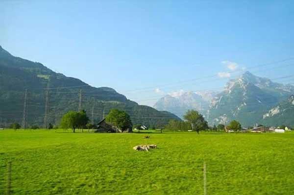 十二地支顺口溜(十二地支顺口溜隐秘而伟大电视剧)