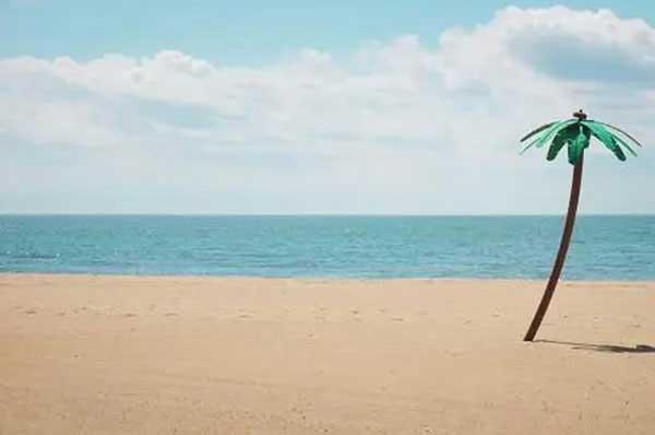 四月出生属牛人的运势(属牛人一生运势如何)